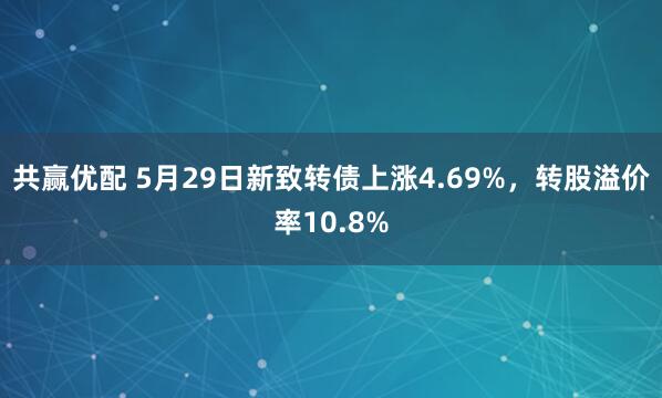 共赢优配 5月29日新致转债上涨4.69%，转股溢价率10.8%