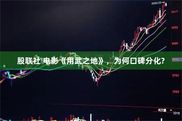 股联社 电影《用武之地》，为何口碑分化?