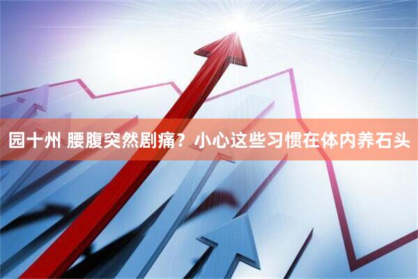 园十州 腰腹突然剧痛？小心这些习惯在体内养石头