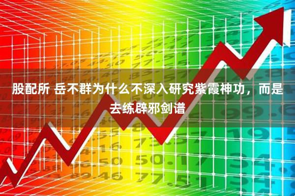 股配所 岳不群为什么不深入研究紫霞神功，而是去练辟邪剑谱